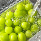Shine Muscat Tree Seeds-Sunshine Rose Grape(🪴Can be potted)