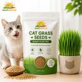 Grow Fresh Cat Grass Seeds at Home