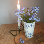 Alpine Forget Me Not Mixed Seeds - Myosotis alpestris - Biennial Flower Seeds - Organic Seeds
