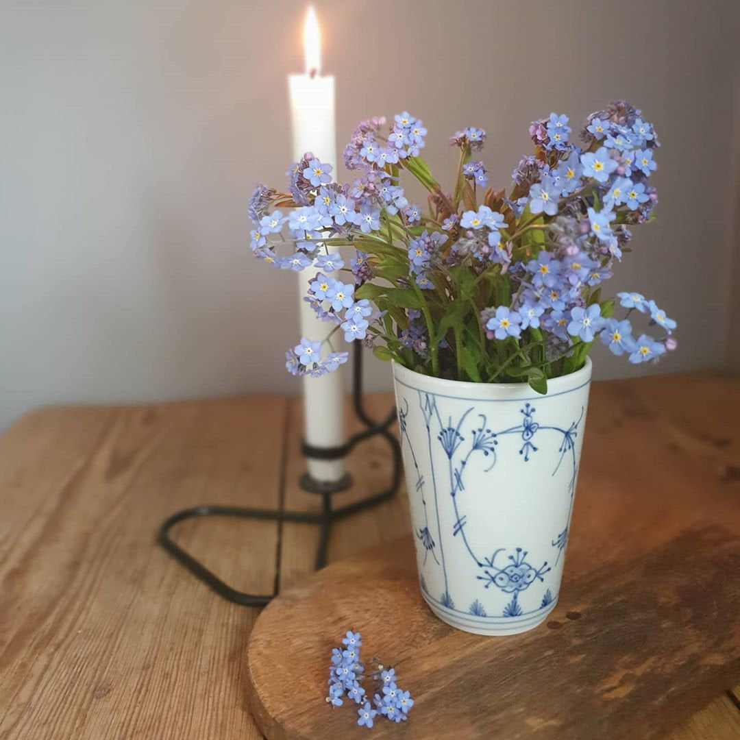 Alpine Forget Me Not Mixed Seeds - Myosotis alpestris - Biennial Flower Seeds - Organic Seeds