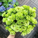 💐Lisianthus - A Sincere and Immutable Love