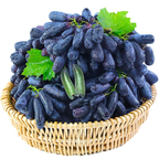 Sapphire Grapes Seeds