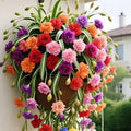 Grand Bloom Spider Plant Seeds/Bulbs 💐 Nature's Hanging Masterpiece of Color & Grace