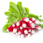 Thumb Fruit Radish Seeds