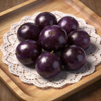 Jaboticaba Exotic Fruit Plant Starter for Home Garden