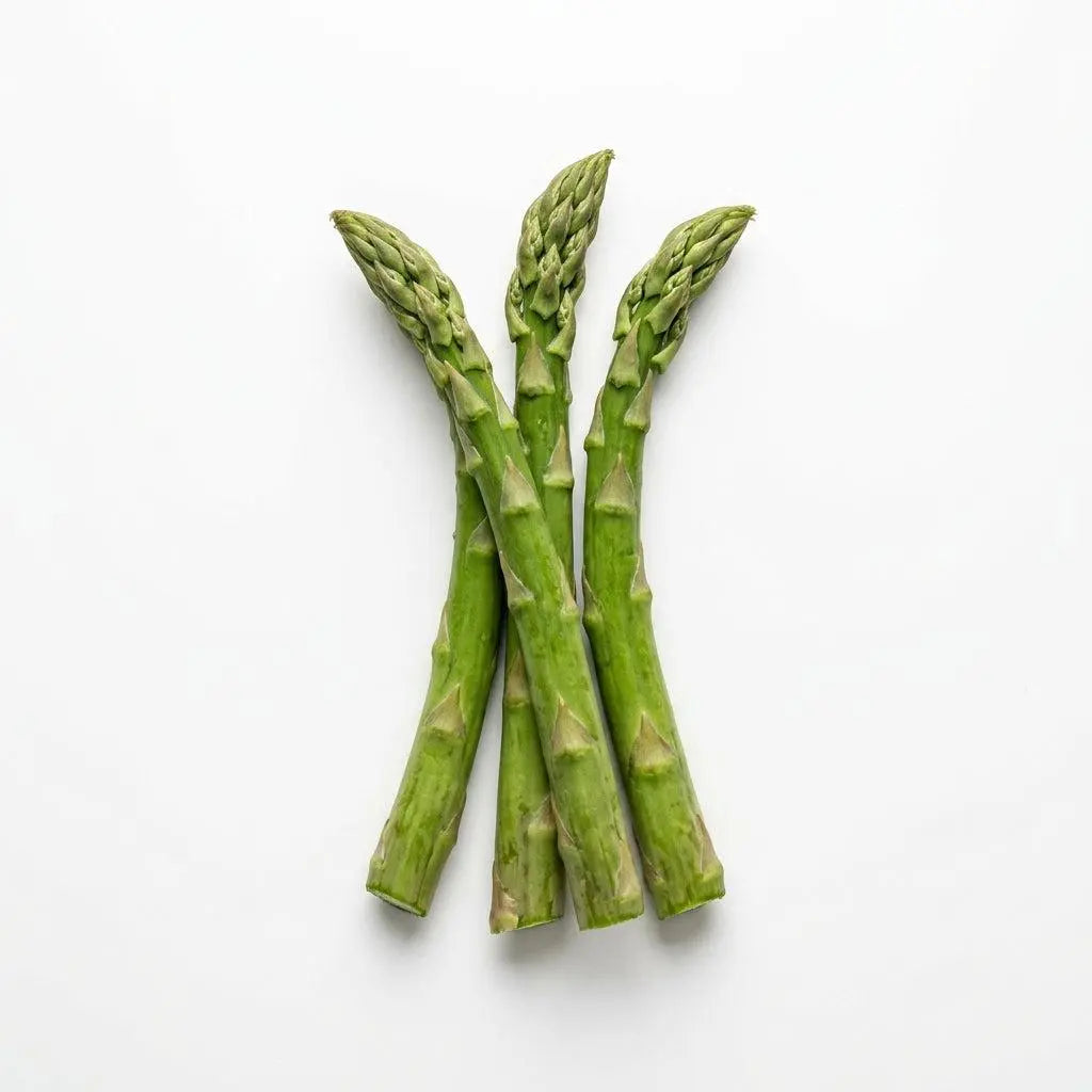Asparagus Seeds - Perennial Heirloom Vegetable Seeds - Grow Tender, Delicious Asparagus Spears Year After Year
