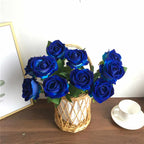 💙BLUE ENCHANTRESS ROSE SEEDS✨