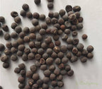 💐Multi Color Sweet Pea Flower Seeds