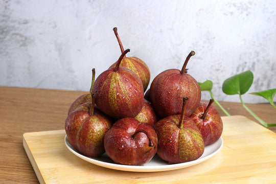 Pyrus pyrifolia 'Nijisseiki'🌈Rainbow Pear Seeds