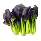 Purple Rape Brassica Seeds