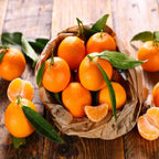 🍊Red Tangerine Seeds-Sweet, Juicy, Abundant Harvests