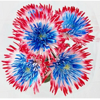 Mixed Spider Mums Flower Seeds-Over 20 Colors