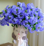 Blue Plumbago Flower Seeds - Blue Gem in the Garden
