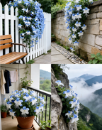 🌌 Blue Butterfly Flower Seeds – Bring the sky into your garden!