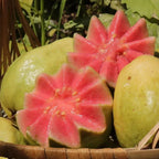 Strawberry Guava Seeds