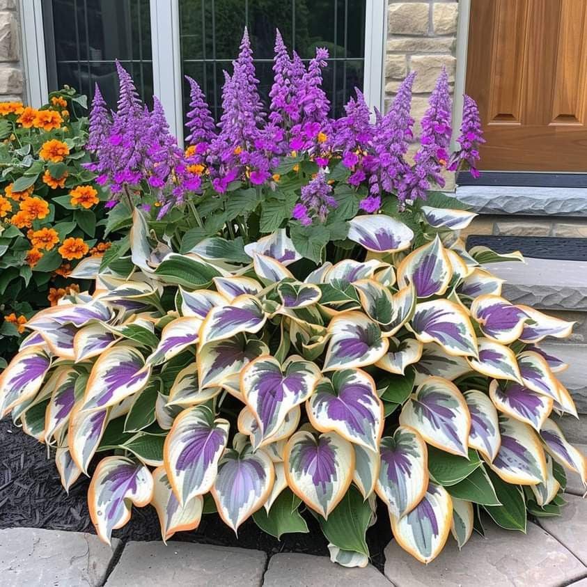 🌿 Rare Hosta Seeds — Premium, Shade-Loving Perennials with Lush Foliage🌈