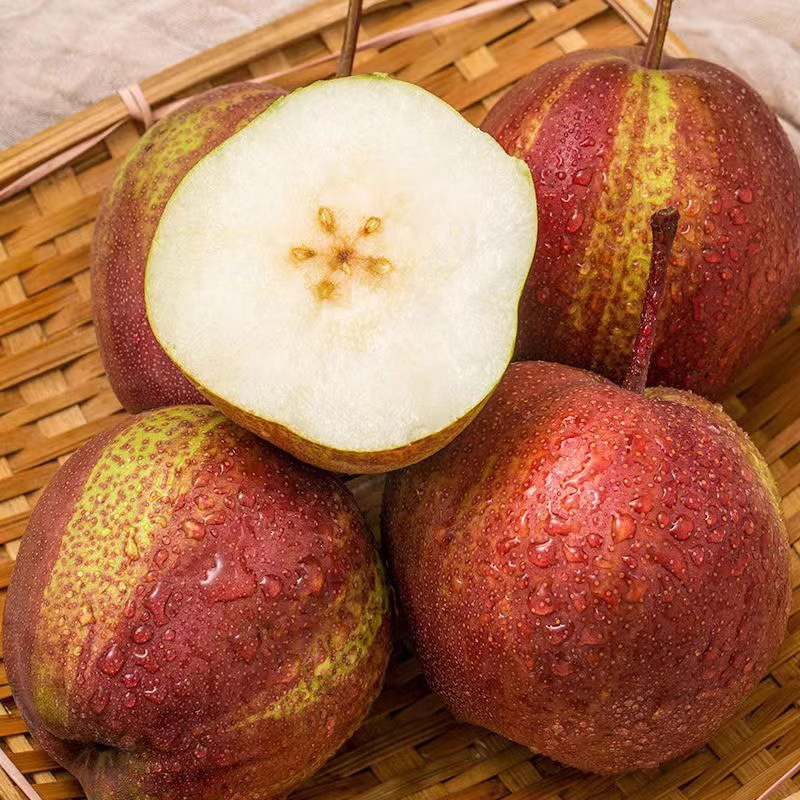 Pyrus pyrifolia 'Nijisseiki'🌈Rainbow Pear Seeds