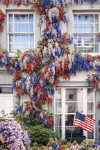 🇺🇸 Celebrate America’s 250th with Red, White & Blue Wisteria Seeds 🌸