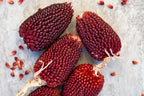 🍓&🌽Strawberry Corn seeds - 2023 popular seeds