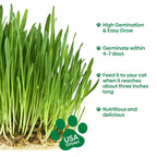 Grow Fresh Cat Grass Seeds at Home