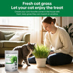 Grow Fresh Cat Grass Seeds at Home