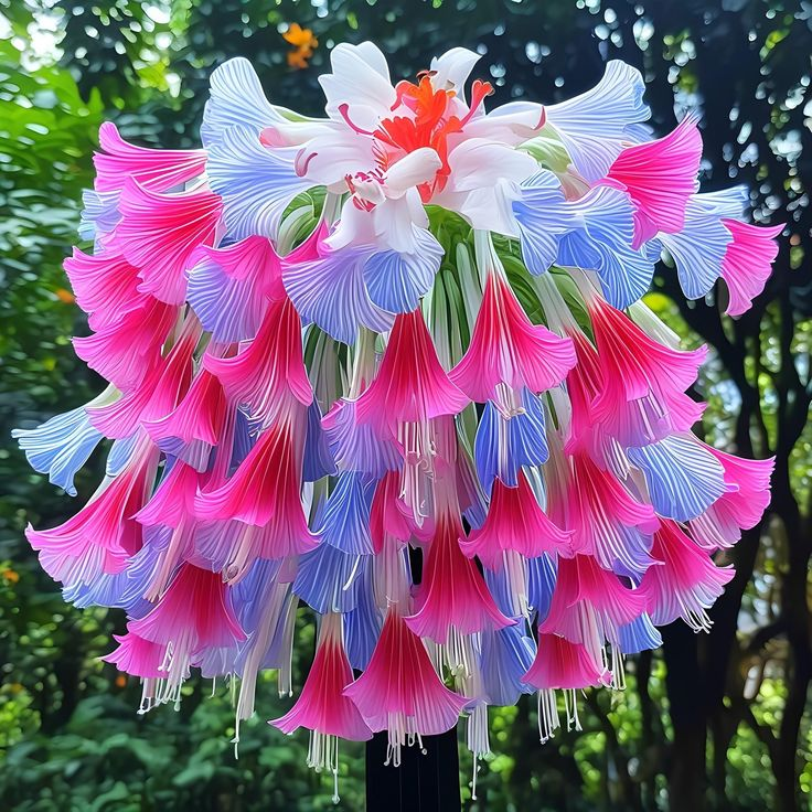 Giant Hanging Lobelia Seeds🌊