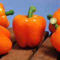 Pepper Milena F1 Organic