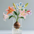 🌸 Water-Grown Lily – Fragrance & Elegance in a Glass! 🌿