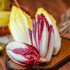 European Chicory Seeds