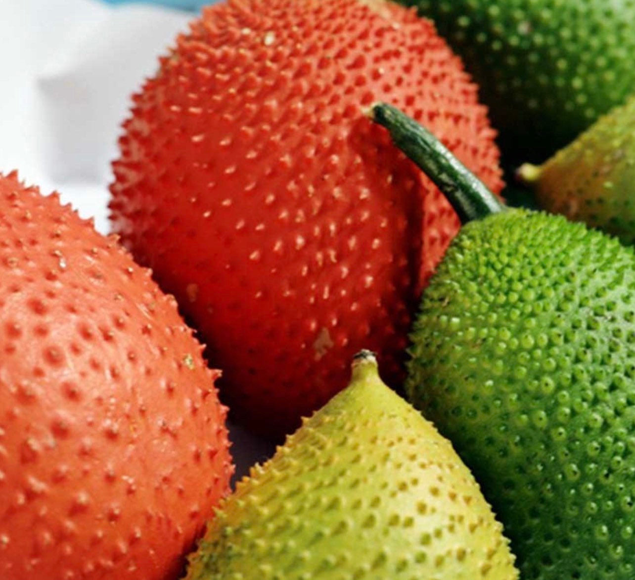Gac fruit seeds, Gac Melon Vine Momordica Cochinchinensis seeds