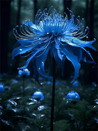 💙Blue Spider Lily: Where Mystery Meets Beauty